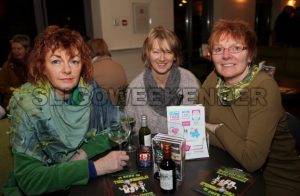 windmill Mahons.jpg - Sligo Weekender | Sligo News | Sligo Sport