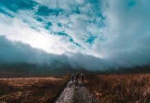 Sligo Walking Festival to take place in January sligo walking festival