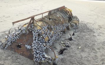 Cuban refuge boat washes up on County Sligo beach