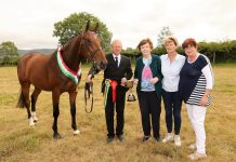 Grange hosts successful 72nd North Sligo Agricultural Show