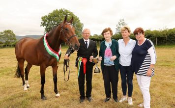 Grange hosts successful 72nd North Sligo Agricultural Show